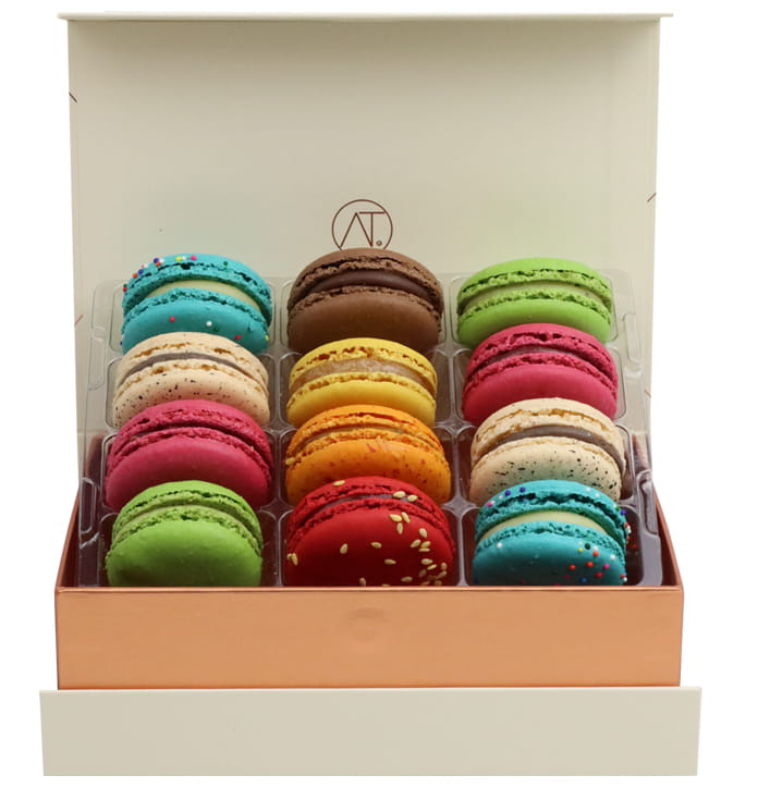 American Favorite, 12pc - THIERRY ATLAN