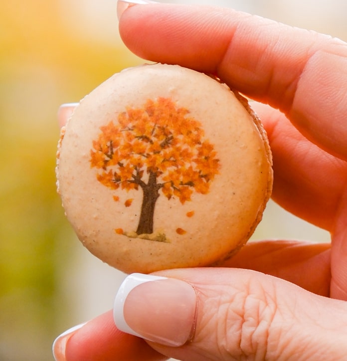 Harvest Macaron Box - thierry atlan new york - thanksgiving