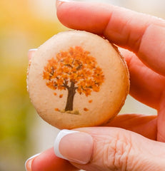Harvest Macaron Box - thierry atlan new york - thanksgiving