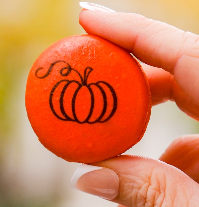 Harvest Macaron Box - thierry atlan new york - thanksgiving